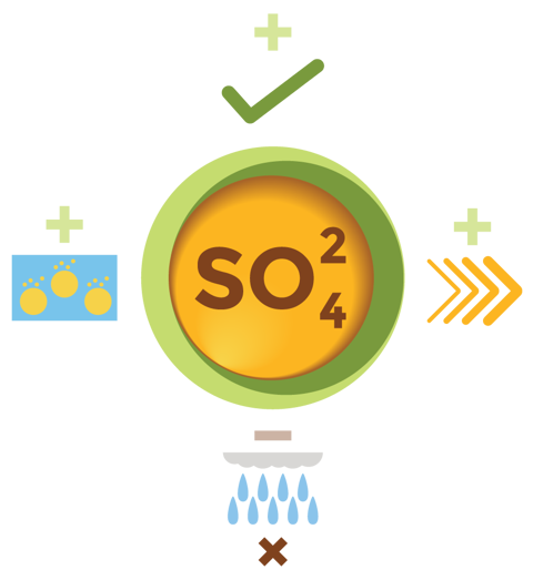 Sulphate Sulphur