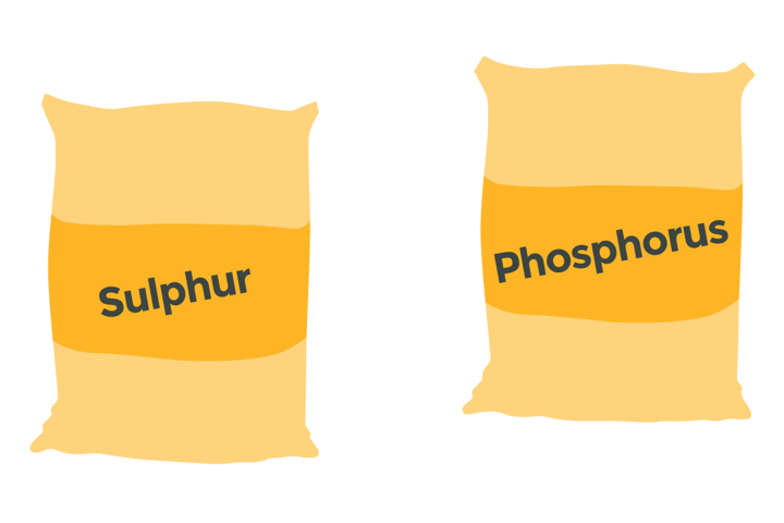 Sulphur Phosphorus